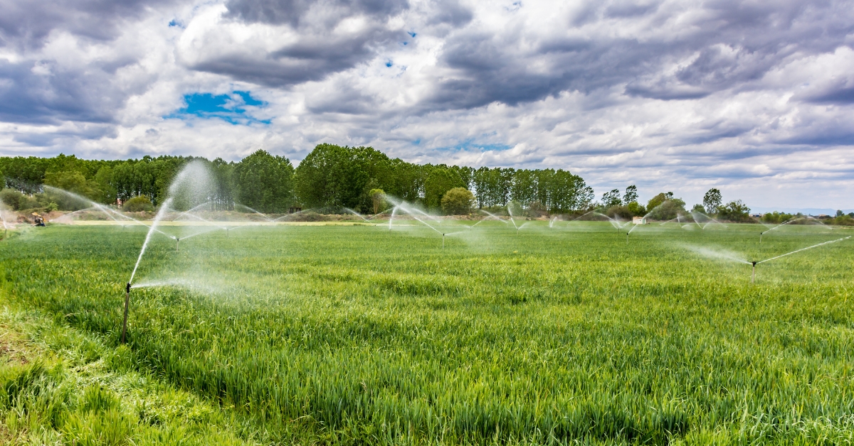 Finca agrícola en venta con campos de cultivo en España.