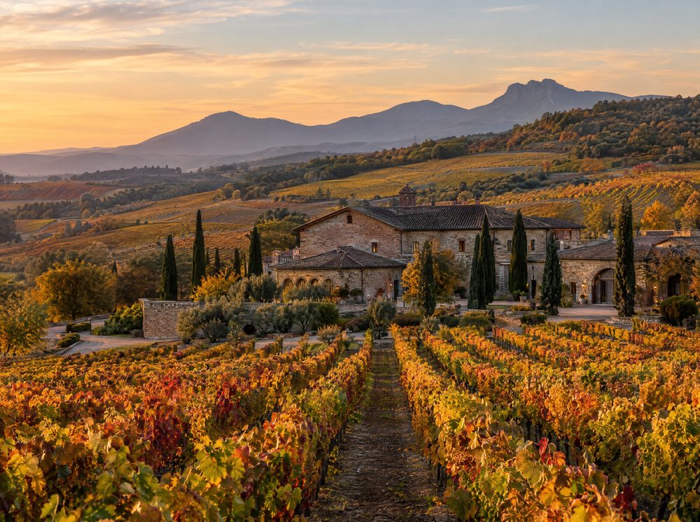 Finca rústica con viñedo al atardecer